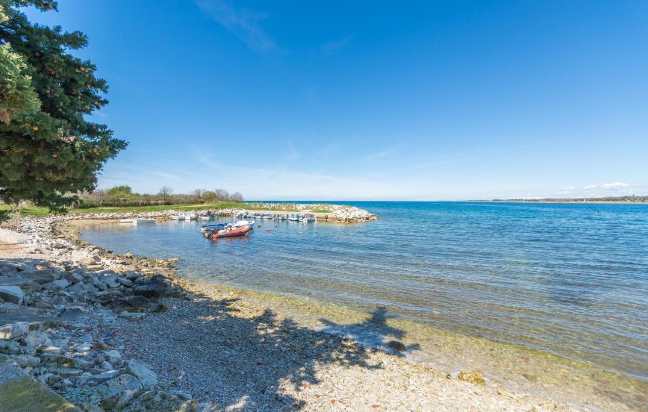 Apartment Valerio Novigrad Istria Esterno foto