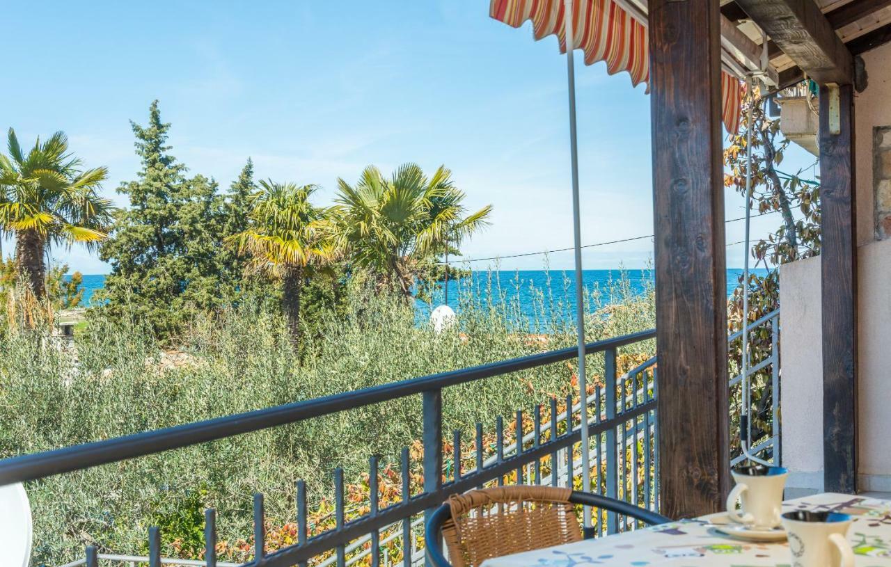 Apartment Valerio Novigrad Istria Esterno foto